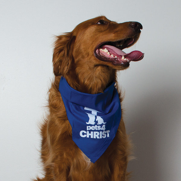 Bandana - Pets4Christ - Blue