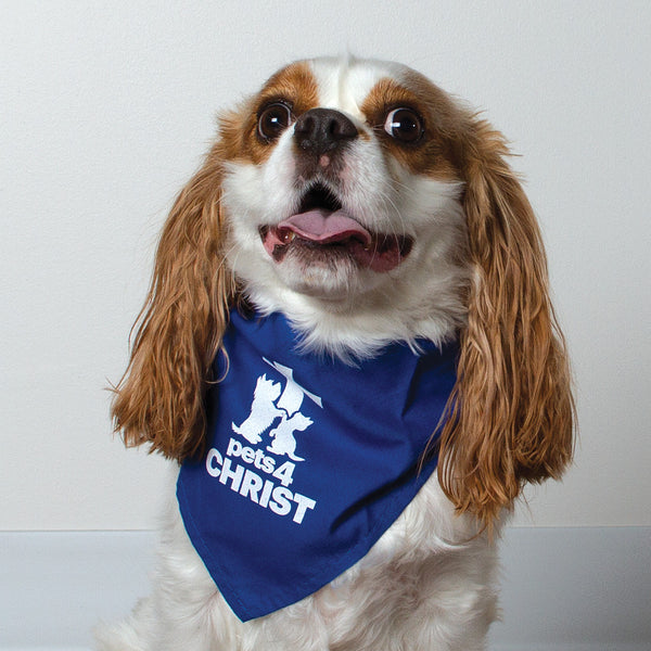 Bandana - Pets4Christ - Blue