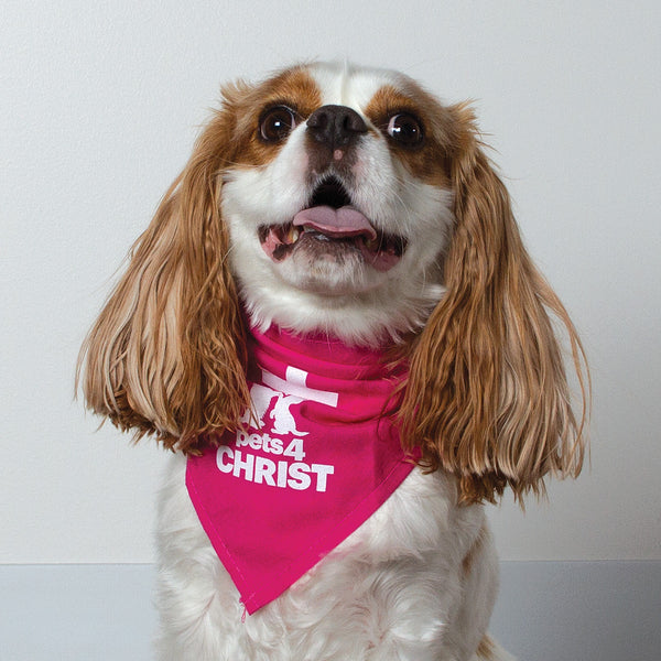 Bandana - Pets4Christ - Pink