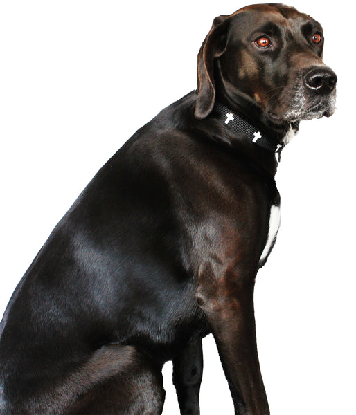 Non-Padded Collar - Cross - Black