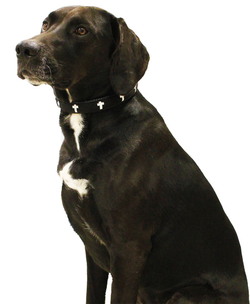 Padded Collar - Cross - Black