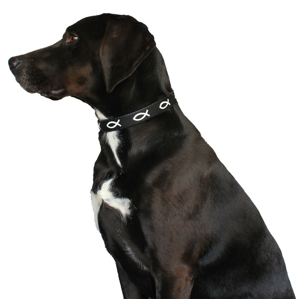 Padded Collar - Fish - Black