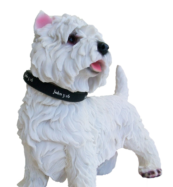 Padded Collar - John 3:16 - Black