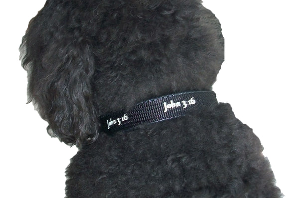 Padded Collar - John 3:16 - Black