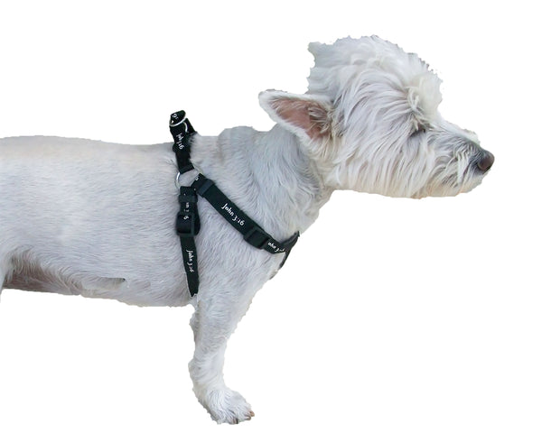 Harness - John 3:16 - Black