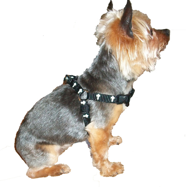 Harness - Cross - Black