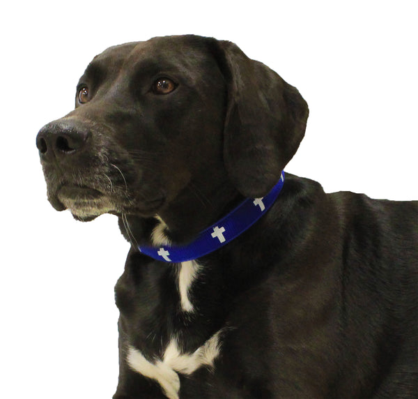 Padded Collar - Cross - Blue