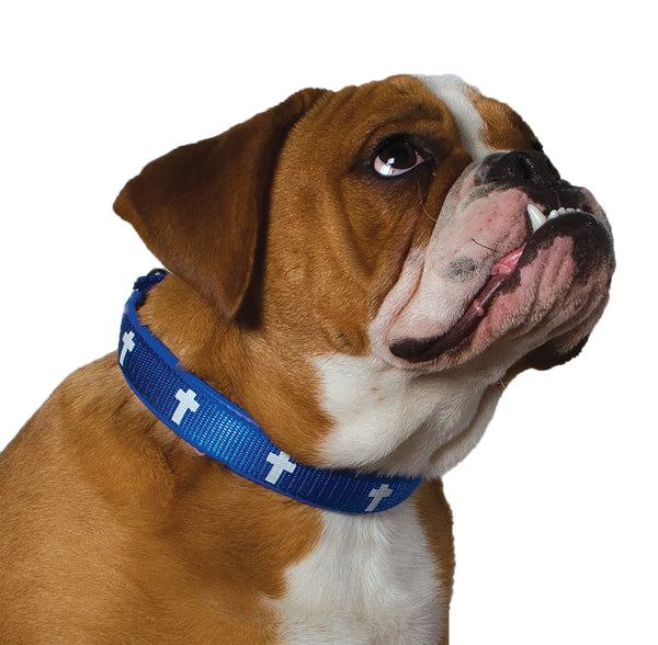 Padded Collar - Cross - Blue