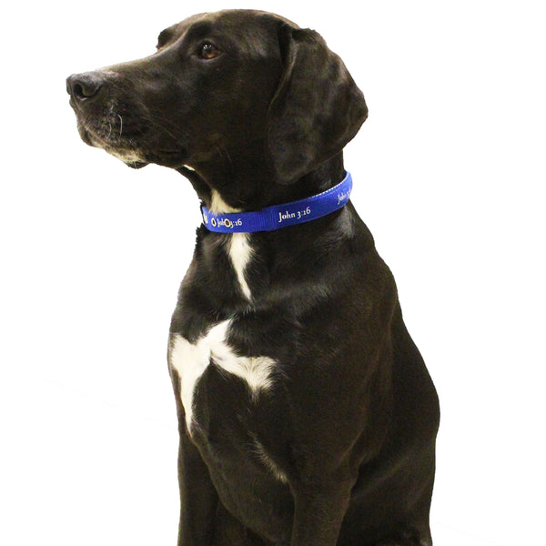 Padded Collar - John 3:16 - Blue