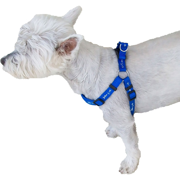 Harness - John 3:16 - Blue