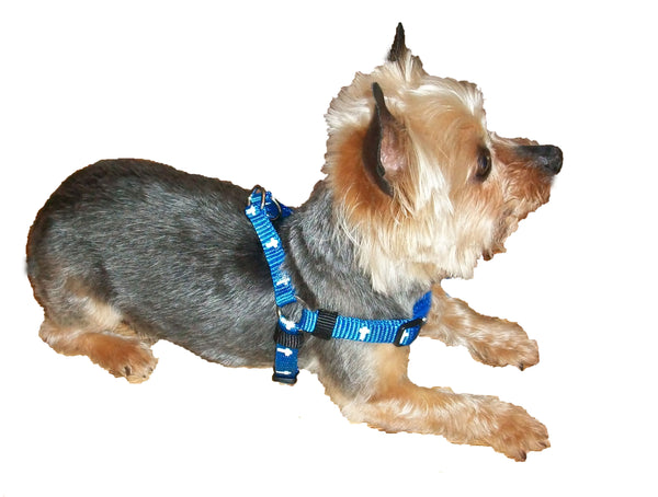 Harness - Cross - Blue