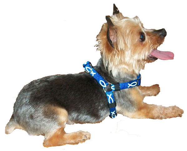 Harness - Fish - Blue