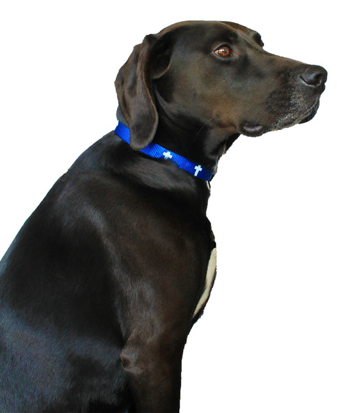 Non-Padded Collar - Cross - Blue