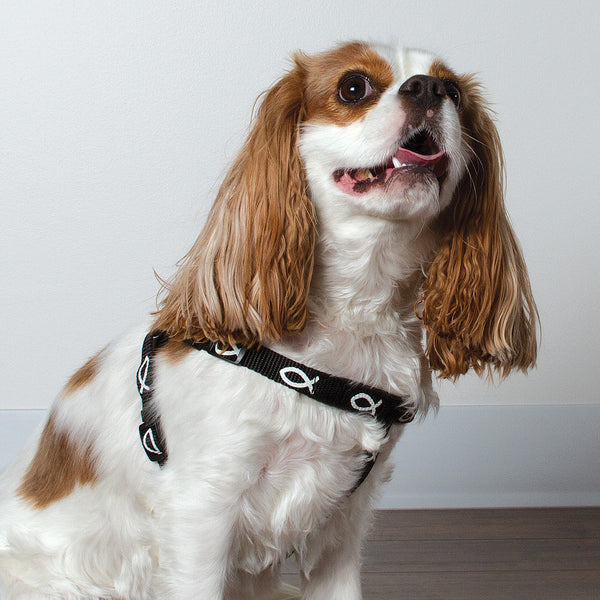 Harness - Fish - Black