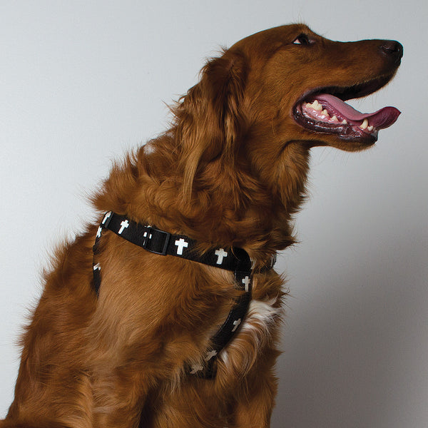 Harness - Cross - Black