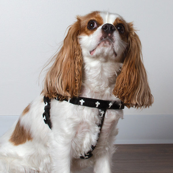 Harness - Cross - Black