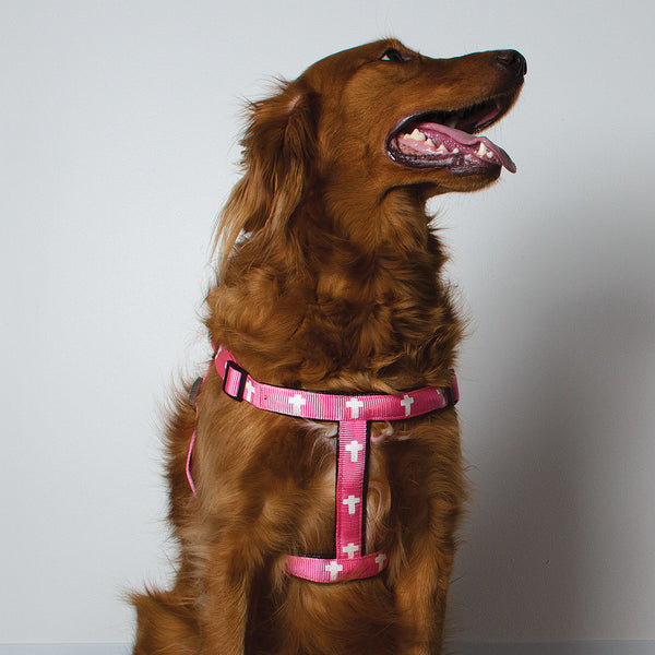 Harness - Cross - Pink