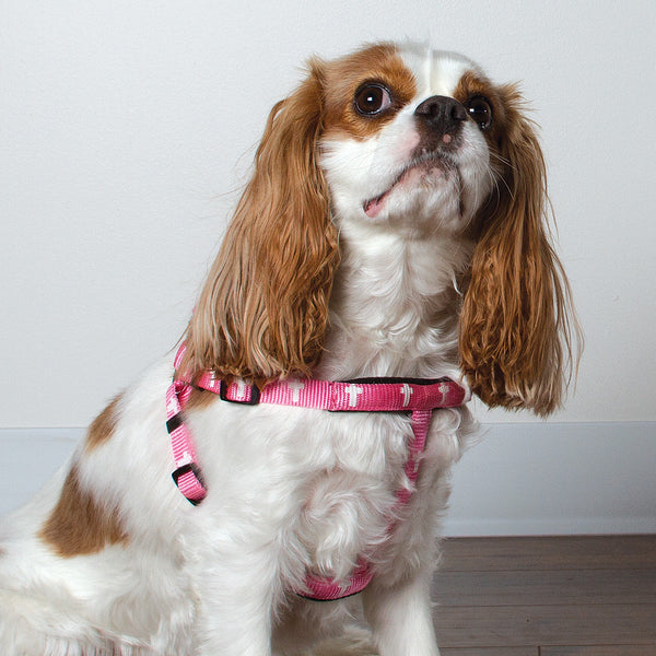 Harness - Cross - Pink