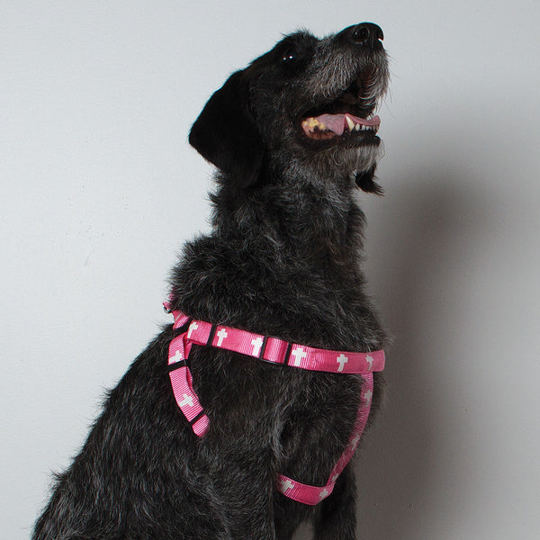 Harness - Cross - Pink
