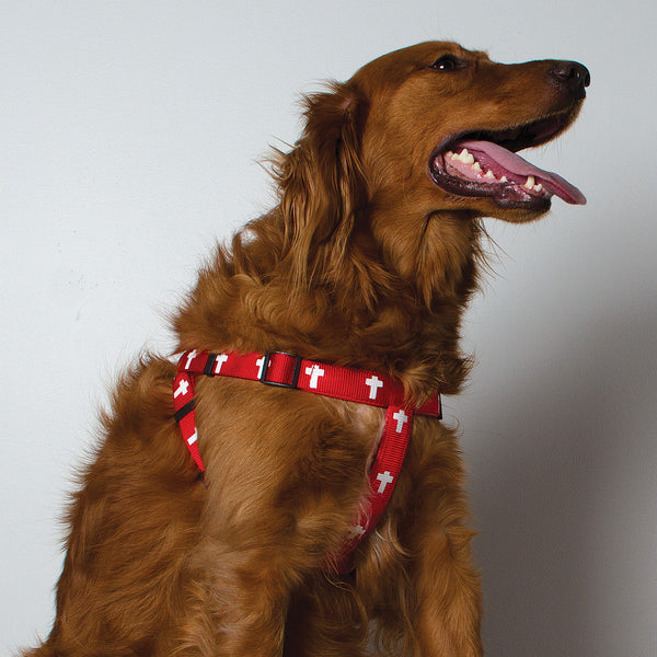 Harness - Cross - Red
