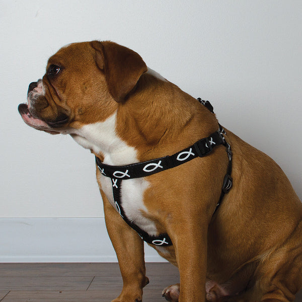 Harness - Fish - Black