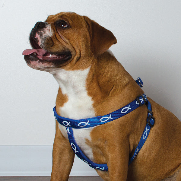 Harness - Fish - Blue