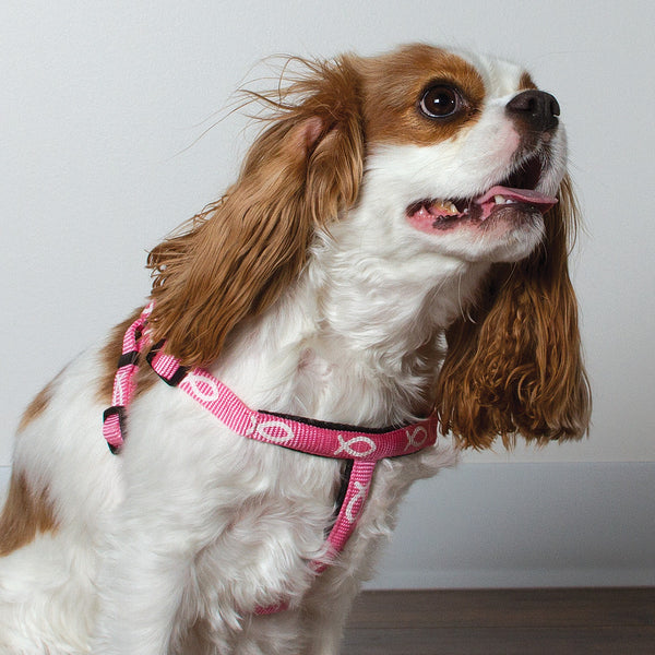 Harness - Fish - Pink