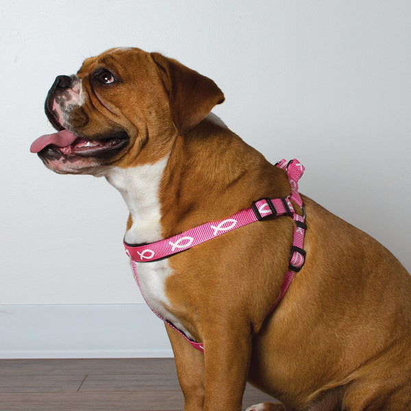 Harness - Fish - Pink