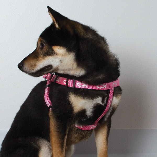 Harness - Fish - Pink