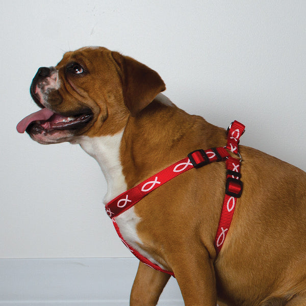 Harness - Fish - Red