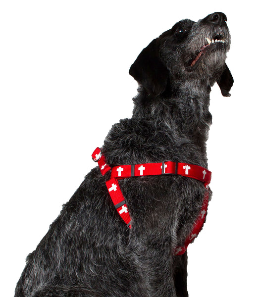 Harness - Cross - Red