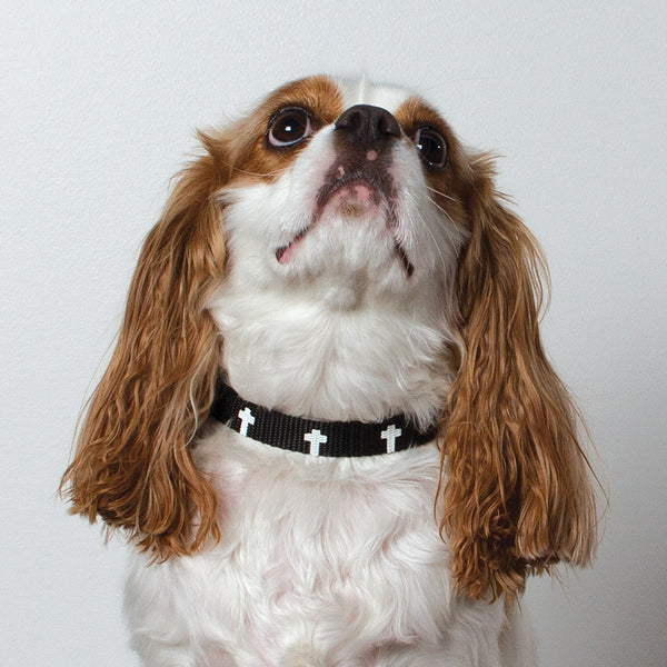 Non-Padded Collar - Cross - Black