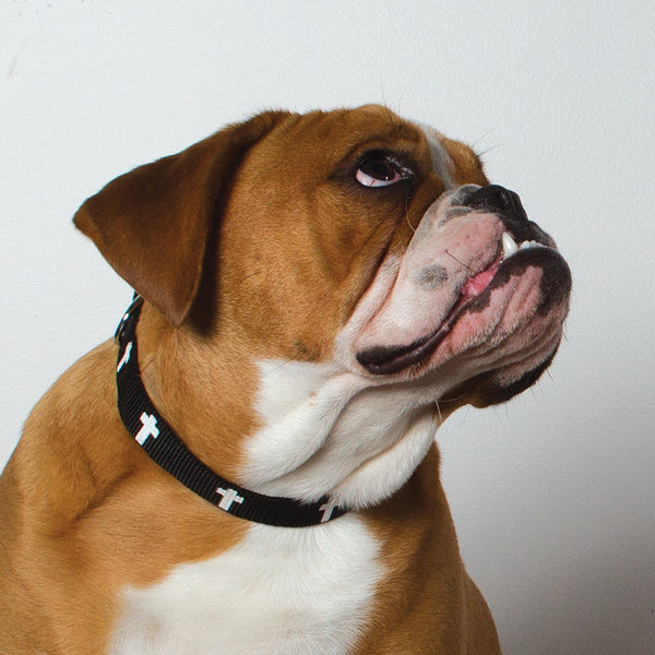 Non-Padded Collar - Cross - Black