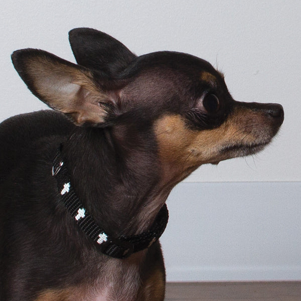 Non-Padded Collar - Cross - Black