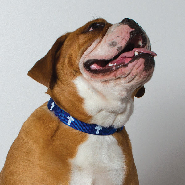 Non-Padded Collar - Cross - Blue