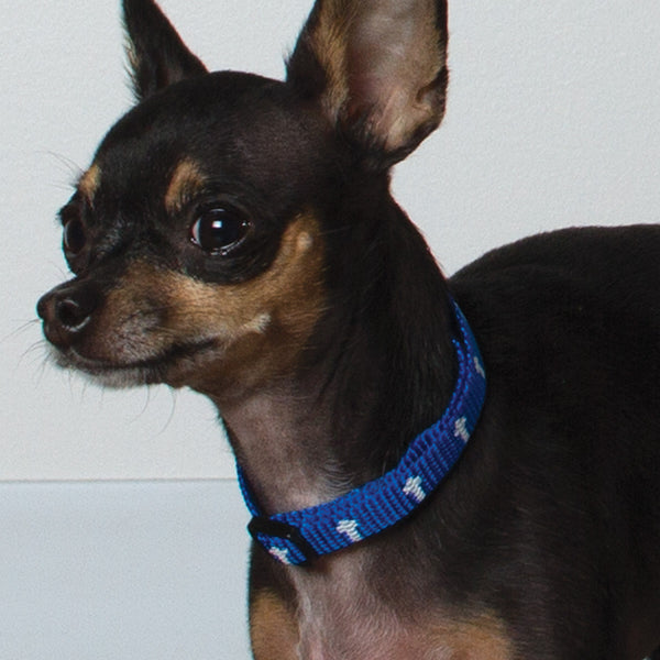 Non-Padded Collar - Cross - Blue