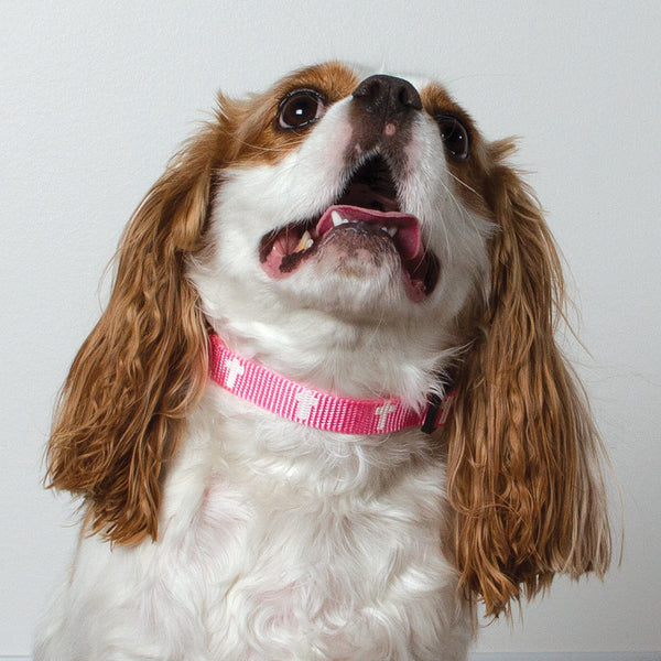 Non-Padded Collar - Cross - Pink