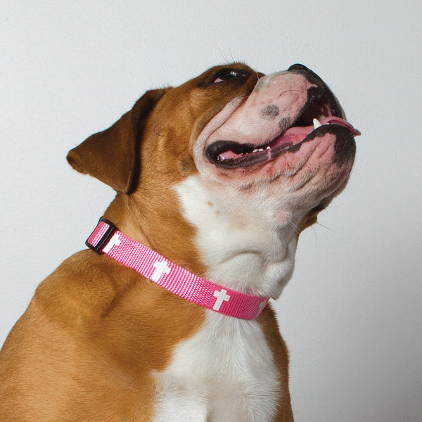 Non-Padded Collar - Cross - Pink