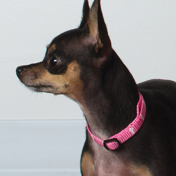 Non-Padded Collar - Cross - Pink