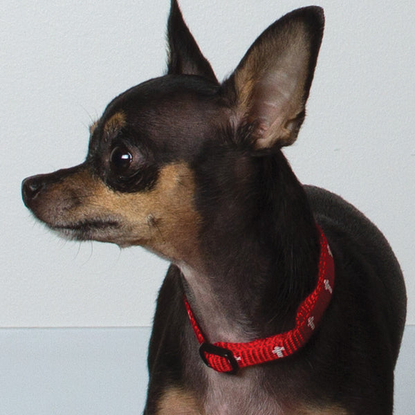 Non-Padded Collar - Cross - Red