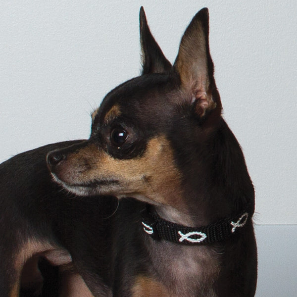 Non-Padded Collar - Fish - Black