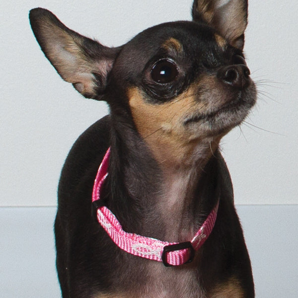 Non-Padded Collar - Fish - Pink