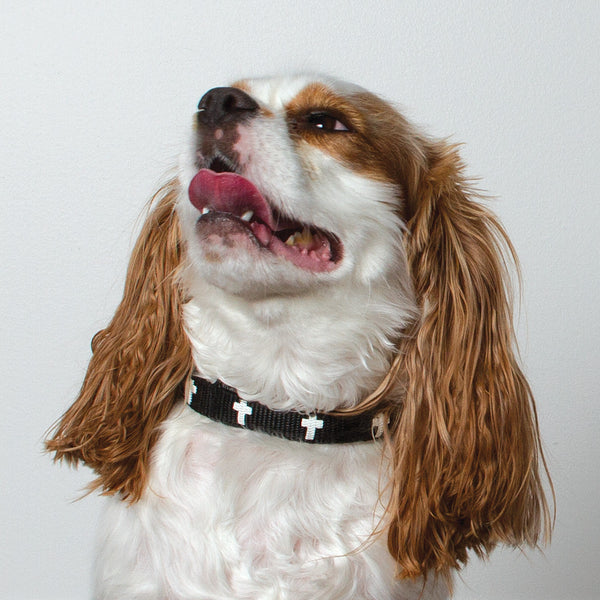 Padded Collar - Cross - Black