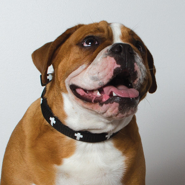 Padded Collar - Cross - Black