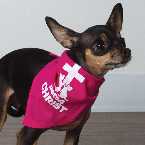 Bandana - Pets4Christ - Pink