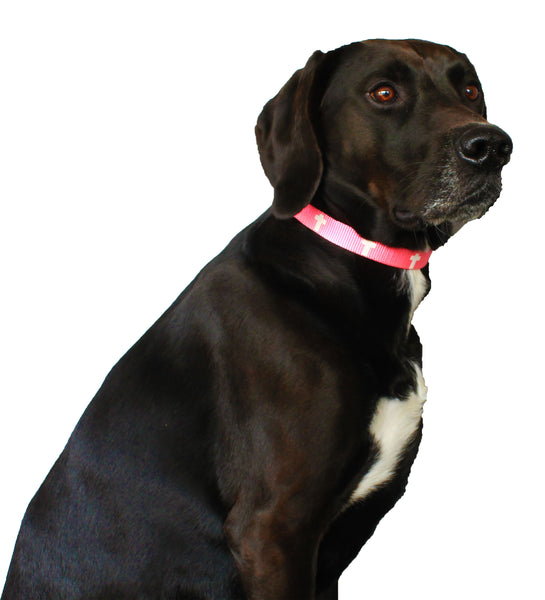 Non-Padded Collar - Cross - Pink