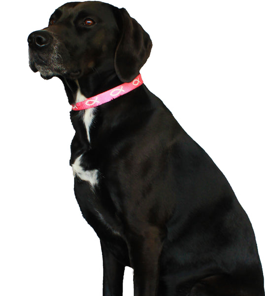 Non-Padded Collar - Fish - Pink