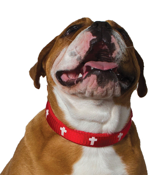 Padded Collar - Cross - Red