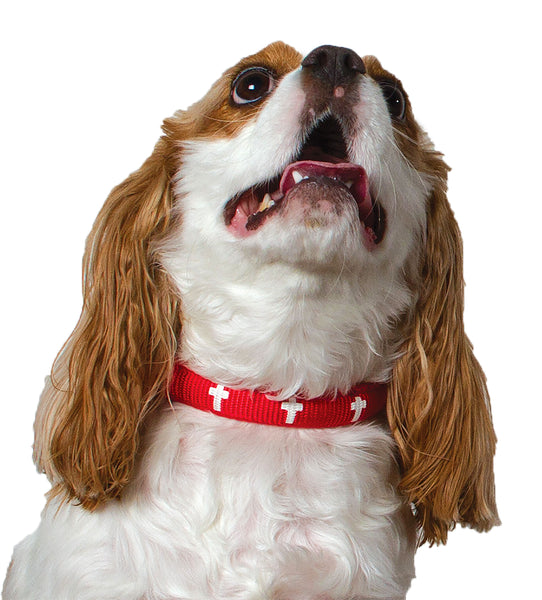 Padded Collar - Cross - Red