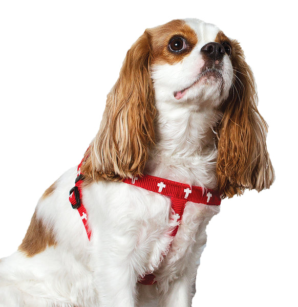 Harness - Cross - Red